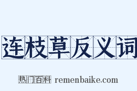 连枝草反义词是什么意思的图片